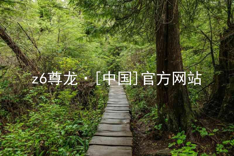 z6尊龙·[中国]官方网站