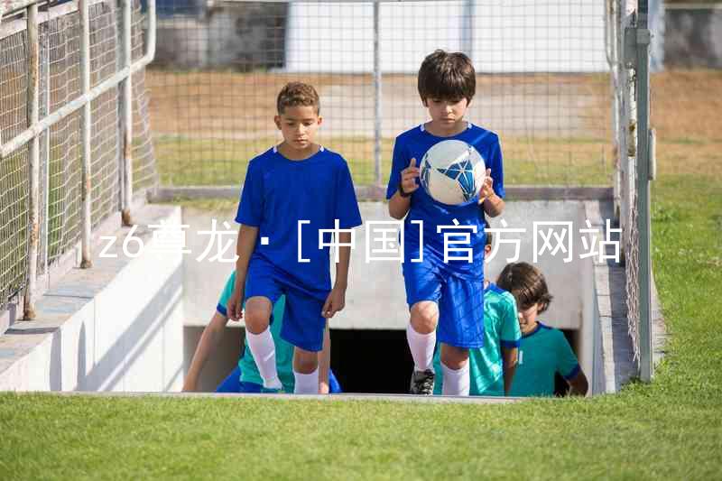 z6尊龙·[中国]官方网站